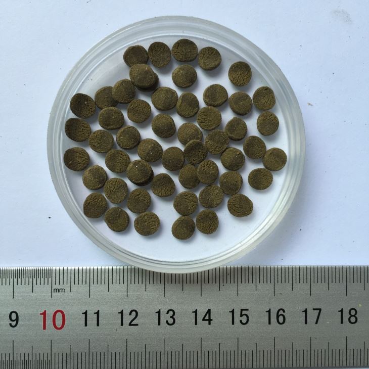 Pleco wafers fish food Pleco wafers fish food